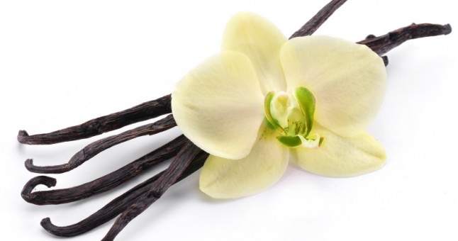 vanilya-faydaları