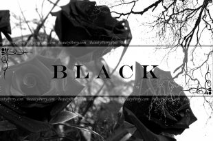 Siyah Rengi Tercih Etmek Ve Siyah Tasarımlar