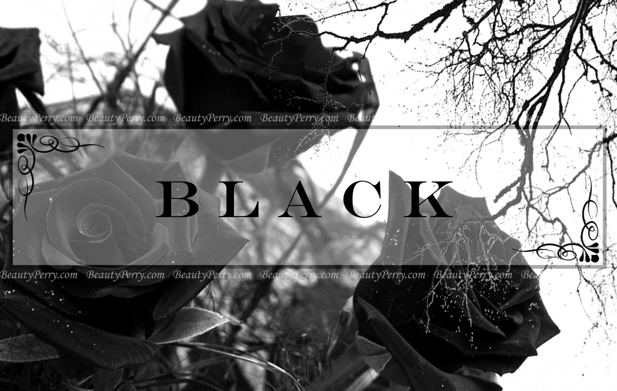 Siyah Rengi Tercih Etmek Ve Siyah Tasarımlar