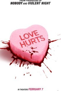 Love Hurts (2025) Ac3.DDP GalaxyRG265